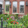 Отель Cabbageville Bed and Beverage, фото 8