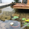 Отель Yanqitang Private Courtyard Inn, фото 24