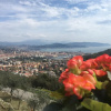 Отель Agriturismo La Pietra, фото 25