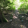 Отель Mt Baker Lodging Cabin 63 - Sleeps 6, фото 10