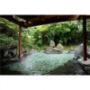 Отель Shikinosato HANAMURA, фото 20