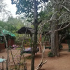 Отель Yala Wild House, фото 24