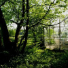 Отель Trolleberg Bed & Breakfast, фото 14