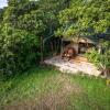 Отель Losokwan Luxury Tented Camp - Maasai Mara, фото 24