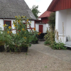 Отель Præstøgaard Bed and Breakfast, фото 17