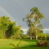 Отель Hacienda Tierra Verde, фото 16