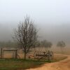 Отель Bunnyconnellen Olive Grove And Vineyard в Рейвенсборне