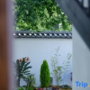 Отель Lijiang Yulong Laixi Mountain View Homestay, фото 10