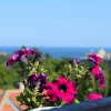 Отель Villa Rosa Dei Venti, фото 8