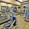 Отель Holiday Inn & Suites Chicago Northwest - Elgin, фото 16