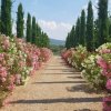 Отель Villa Cappuccini, фото 14