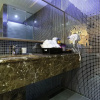 Отель Seattle Hotel Bucheon, фото 11