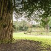 Отель Outstanding Manor House Close To Bristol/bath, фото 18