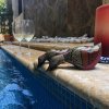 Отель Villa Habibi Coson, фото 28