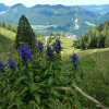 Отель Schernthaner, фото 10