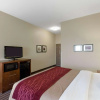 Отель Comfort Inn & Suites Fayetteville - University Area, фото 25