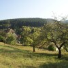 Отель Comfortable Holiday Home with Fenced Garden in Natzwiller, фото 17