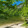 Отель Ferienwohnung Seeblick Nr 3, 2 Zi-Barental, Feldberg, фото 20