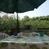 Отель A Small House Immersed in the Green of the Tuscan Countryside, фото 11