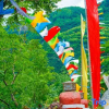 Отель Snow Mountain Home · Tibetan Culture Photography and Food Experience Homestay, фото 8