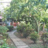 Отель Suanphao Guesthouse, фото 9