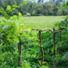 Отель Paddy Field View Resort, фото 24