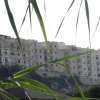 Отель Xlendi Heights Apartments, фото 1