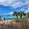 Отель Oceans at Divi Little Bay, фото 13