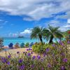 Отель Oceans at Divi Little Bay, фото 12