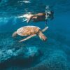 Отель Heron Island Resort, фото 20