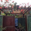 Отель Gili Guest House, фото 2