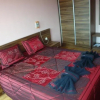 Отель Tzvetelina Palace Hotel, фото 6