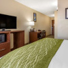Отель Comfort Inn & Suites North Albuquerque, фото 4