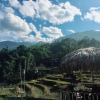 Отель Ta Van Heaven Homestay, фото 16