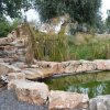 Отель Villa Giulia - Sicilian Luxury Garden, фото 12