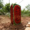 Отель Farm Stay Tredicina, фото 8