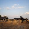 Отель Jawai Safari Camp, фото 8