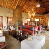 Отель Thanda Safari, фото 23