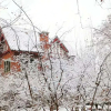 Отель Railway 1896 Garden Hotel, фото 10