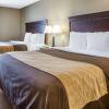 Отель Comfort Inn & Suites near Tinley Park Amphitheater, фото 12