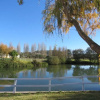 Отель Quinta do Pinheiro - Hotel Rural & Restaurante - GQL, фото 35