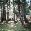 Отель Port Hardy RV Resort, фото 13
