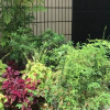 Отель Kishiwada City Hotel Princess, фото 16