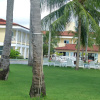 Отель Baia Branca Beach Resort, фото 12