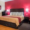 Отель Red Roof Inn & Suites Lake Orion/ Auburn Hills, фото 17