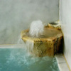 Отель Yumura Onsen Koboyu, фото 2