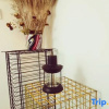 Отель Jiujiang Sanqiu Homestay, фото 10