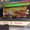 Отель Platinum Star Hotel (Guiyang Mengguan Auto Parts City Store), фото 10