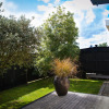 Отель Martinborough Mews, фото 9