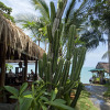 Отель Cactus Bungalow, фото 22